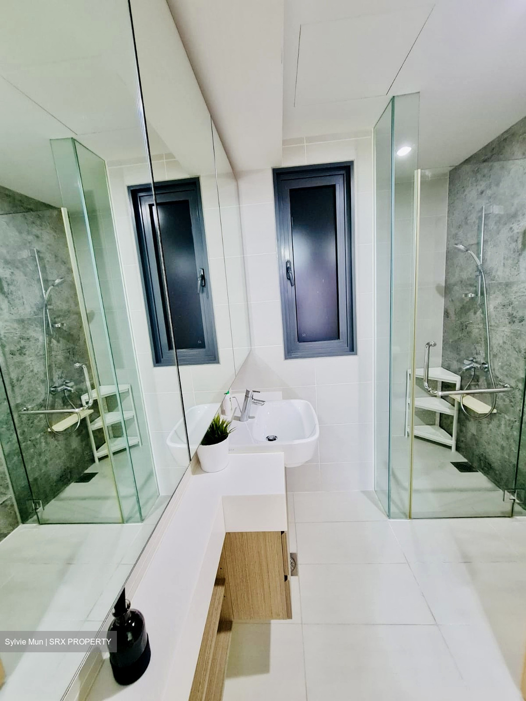 The Lakefront Residences (D22), Condominium #598099281